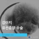 광주동천병원 이미지