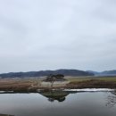 이황칼국수