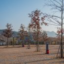 청도신화랑풍류마을 오토캠핑장 이미지