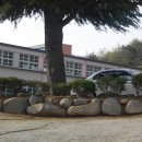 영암낭주중학교 이미지