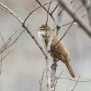 상주 공검지 이미지