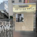 시장(싸전) 이미지