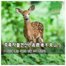 양산박 - 35688 | 양산박