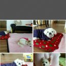 아띠아지 이미지