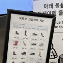 부스트복싱 | 🇩🇪2월의 베를린 day 1&amp;2 - 베를린 편집샵, 카데베 백화점, 카페 추천