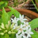 화목사 이미지