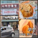 우신식품 | 부산 사하구 빵집 사하단팥빵 | 다대포해수욕장 빵지순례 소금빵 단팥빵 내돈내산 후기