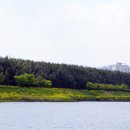 강물놀이터 이미지