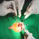 같은생각치과의원 이미지