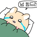 티티에이 이미지