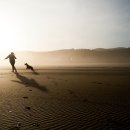 명량화로 이미지