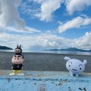 바다와새우