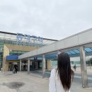 오모차토모 | 대구 여행, 젊음이의 낭만 대구 당일치기 여행