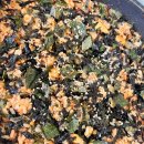 조가네 갑오징어 방배카페거리점 이미지