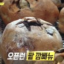 라그노 이미지