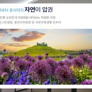 풍덕주택길 이미지