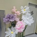 평생약국 이미지