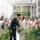 해님축사 이미지