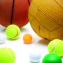 Leader Gym 이미지