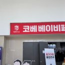 [수원] 코베 베이비페어 후기