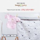 화모