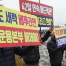 개미통신 이미지