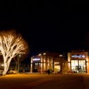 미스터아구 이미지