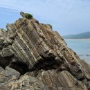 학암포 분점도 이미지