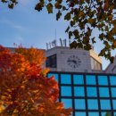 낭만안경 이미지