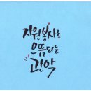 금산 BYC 이미지