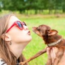 사람과 애견 이미지