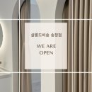 살롱 드 비숑 이미지