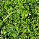 반월도보건진료소 이미지