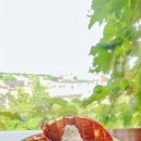 숲속의작은마을 이미지