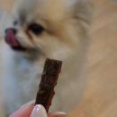 떡심 | [또달래] 강아지 소떡심, 소힘줄 - 치석제거 수제뼈간식 후기