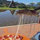 탑뷰카페 이미지