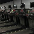 최재원피트니스 이미지