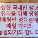 바로잘돼지