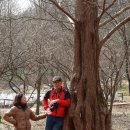 물향기공원 이미지