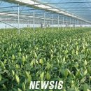 강릉원예사 이미지