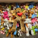 수천목장 | 제주투어패스아이와가기좋은관광지추천제주서부제주양떼목장테디베어하우스테지움점보빌리지카멜리아힐겨울