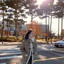 요즘:헤어#