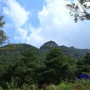 금산군 관광안내소 이미지