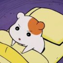 조*승 이미지