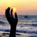 일출과메기 이미지