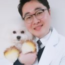 TLC 동물의료센터 이미지