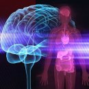 삼성1-119 이미지