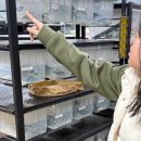 율지18로 | [인천 파충류샵] 리치맨 인천점, 다양한 종류에 아이가 푹 빠진 곳