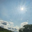 말티목장 이미지