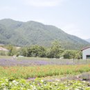 (주)보정팜 이미지